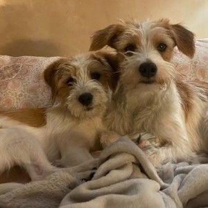 Meet your Posher, Gary